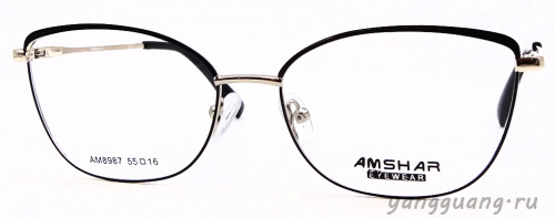 AMSHAR 8987 C6 55-16-140