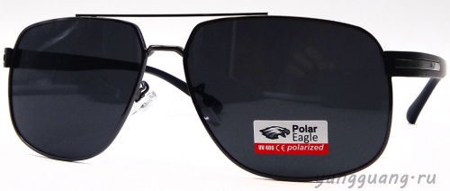 Polar Eagle 8732 C4