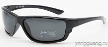 Polar Eagle 8209 C1