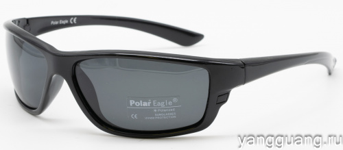 Polar Eagle 8209 C1