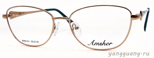 AMSHAR 9101 C9 55-16-140