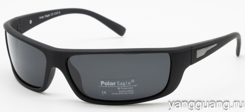 Polar Eagle 8251 C3