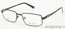Glodiatr 2295 C6 54-17-140