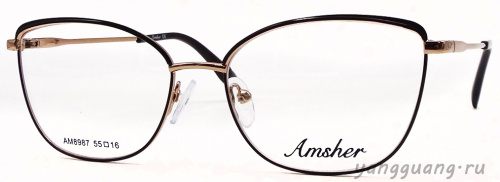 AMSHAR 8987 C4 55-16-140