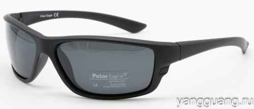 Polar Eagle 8209 C3