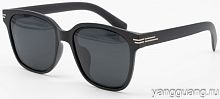 Polarized TR-90 6049 C3