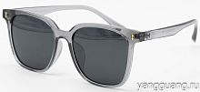 Polarized TR-90 6042 C4