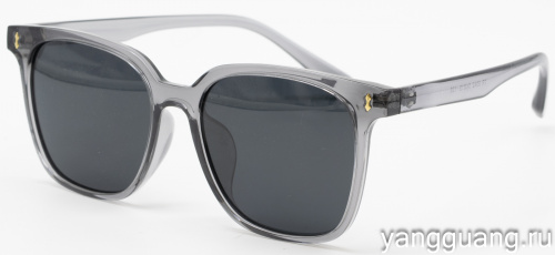Polarized TR-90 6042 C4