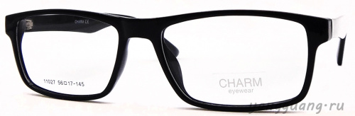 CHARM 11027 C1 56-17-145