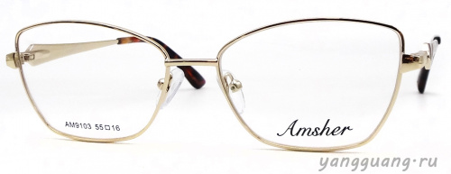 AMSHAR 9103 C4 55-16-140