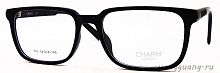 CHARM 602 C6 54-18-145
