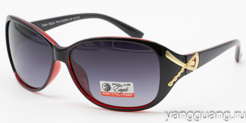Polar Eagle 09546 C5