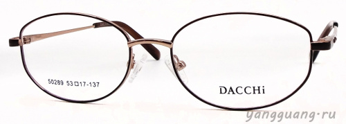 DACCHI 50289 C2 53-17-137