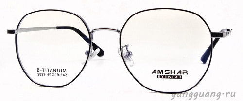 AMSHAR 2829 C2 49-18-143
