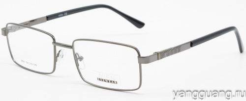 MIEN 8697 C12 55-19-145