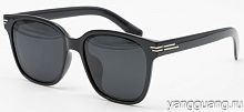 Polarized TR-90 6049 C1