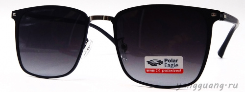 Polar Eagle 8742 C