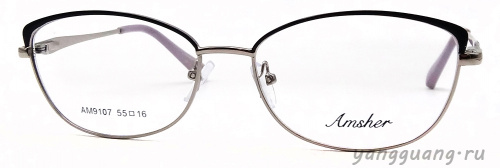 AMSHAR 9107 C6 55-16-140