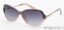 Polarized 6071 C3