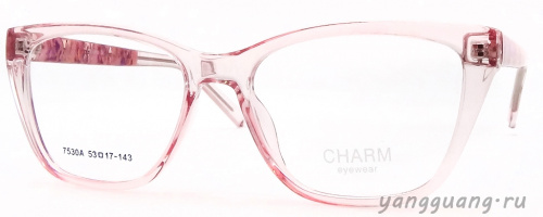 CHARM 7530A C2 53-17-143