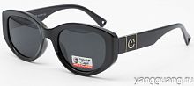 Polar Eagle 09587 C3