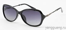 Polarized 6071 C1