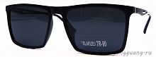 Polarized TR-90 3055 C3