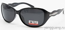 Polar Eagle 09548 C1