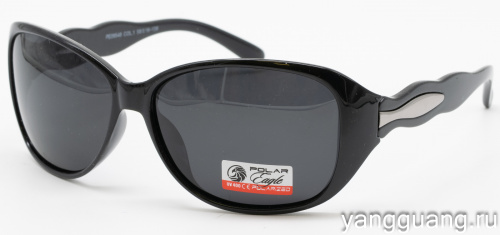 Polar Eagle 09548 C1