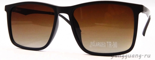 Polarized TR-90 3069 C2