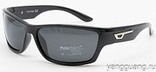 Polar Eagle 8211 C1