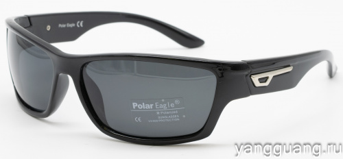 Polar Eagle 8211 C1