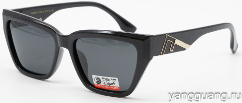 Polar Eagle 09413 C3