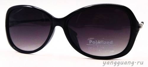 Polarized 8282 C1