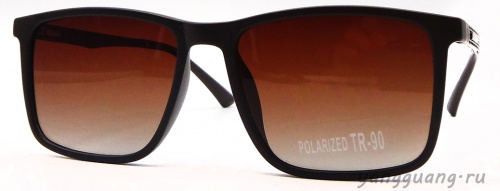 Polarized TR-90 3068 C2