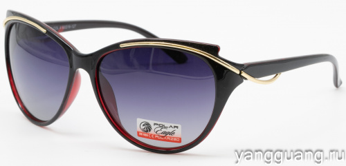Polar Eagle 09240 C4
