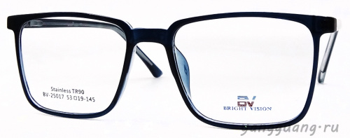 Bright Vision 25017 C8 53-19-145