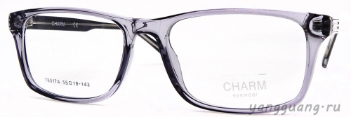 CHARM 78017A C4 55-18-143