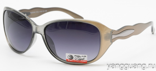 Polar Eagle 09548 C5