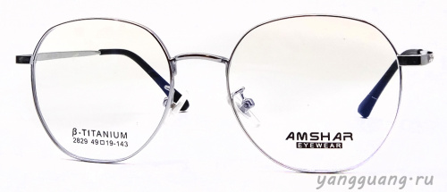 AMSHAR 2829 C5 49-18-143