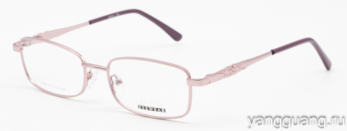 MIEN 6500 C39 51-17-137