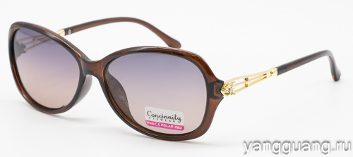 Concinnity 1976 C2