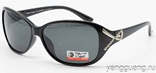 Polar Eagle 09546 C1