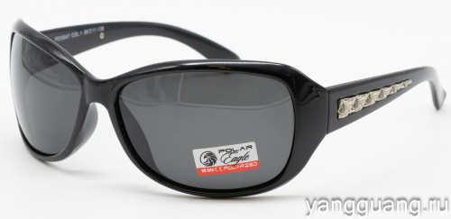 Polar Eagle 09547 C1