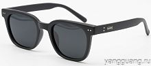 Polarized TR-90 6047 C3