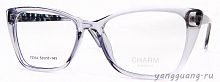 CHARM 7531A C1 53-17-143