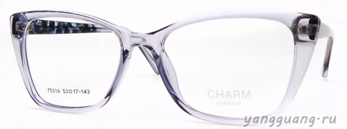 CHARM 7531A C1 53-17-143