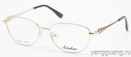 AMSHAR 9101 C4 55-16-140