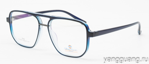 ViBrant Vision 0017 C5 55-17-147
