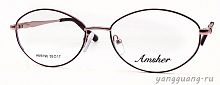 AMSHAR 9196 C12 55-17-140